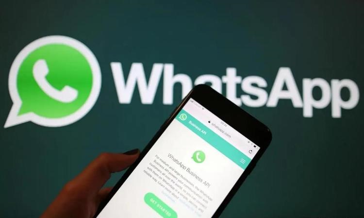 whatsapp群发消息怎么全选？