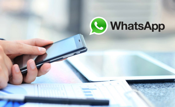 whatsapp营销软件的价格怎么样？