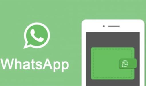 如何过滤 whatsapp 上的活跃账号？