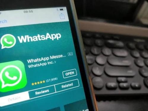 WhatsApp号码爬取器