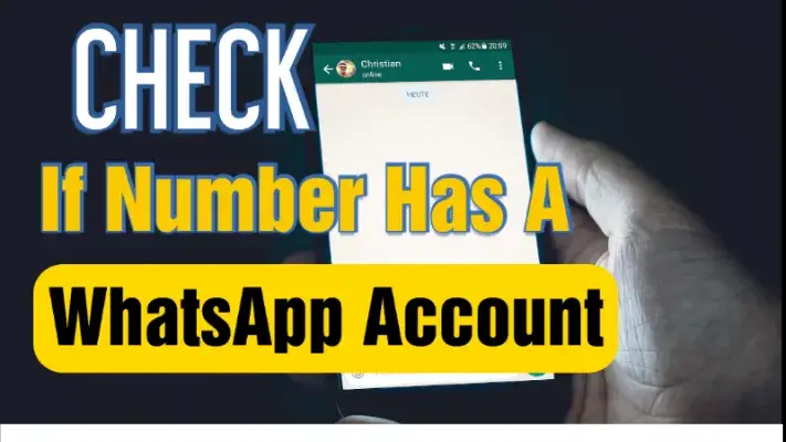 检查号码是否有 WhatsApp 帐户的 5 种方法