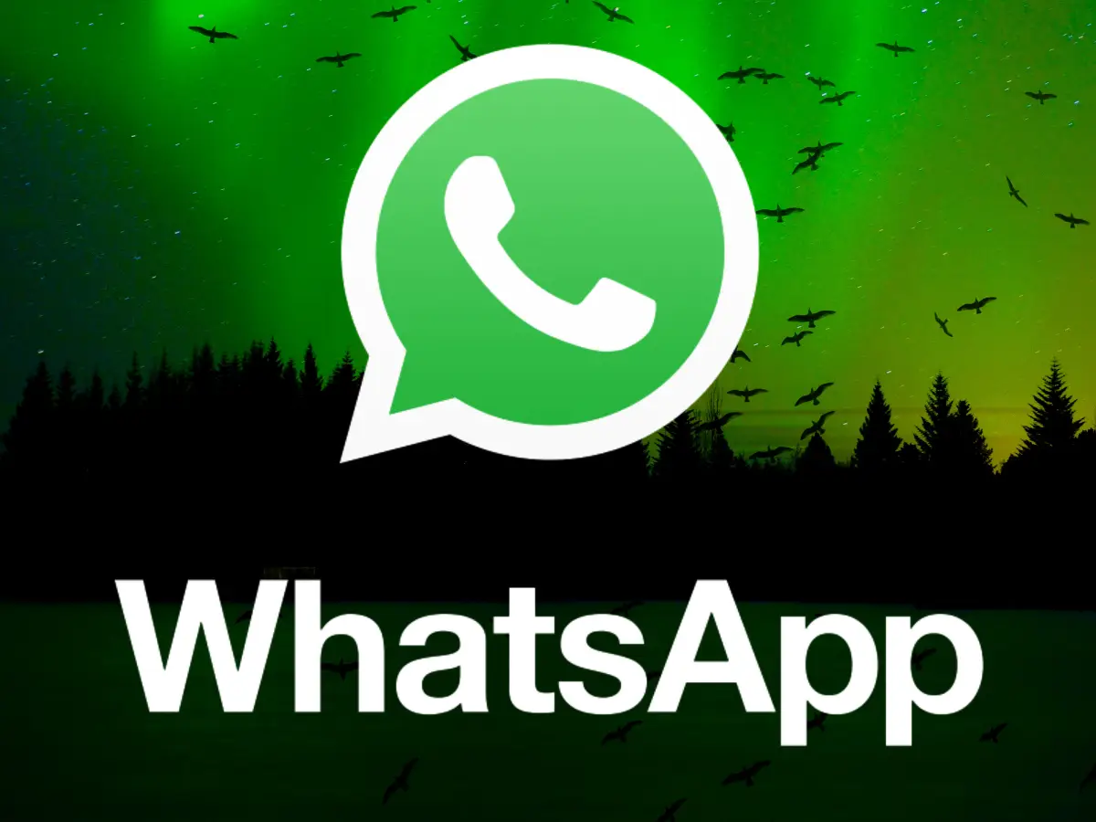 WhatsApp协议号/频道号如何获取？
